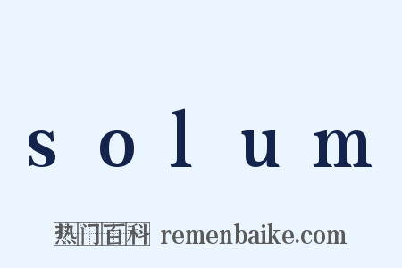 solum是什么意思的图片